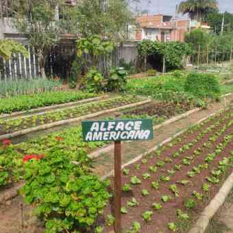  Hortas Comunitárias