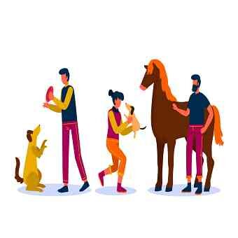  Câmara discute lei que regulamenta as normas de defesa dos animais em Osasco