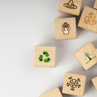  Osasco Verde: conheça as políticas ambientais da cidade